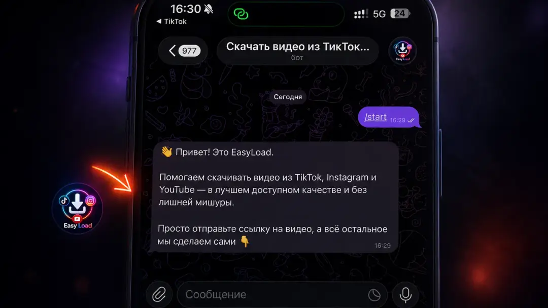 Чат Telegram с отправленной ссылкой на Instagram-видео и статусом обработки