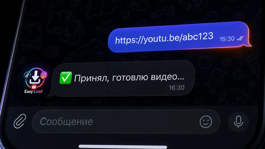 Пользователь отправляет ссылку на YouTube в чат EasyLoad, бот принимает её в обработку