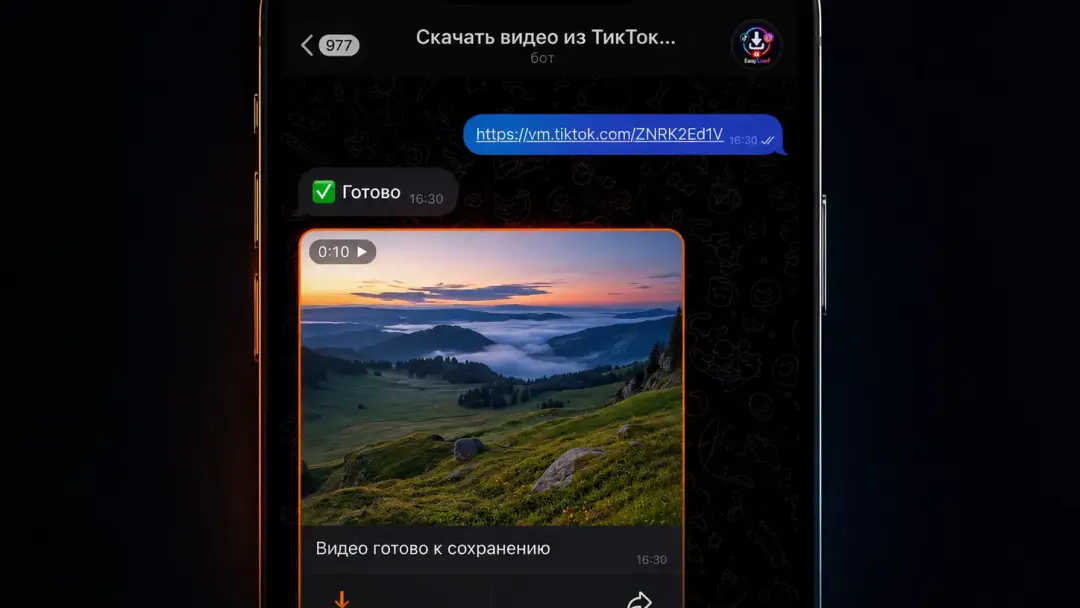 Готовое видео в чате EasyLoad после обработки ссылки