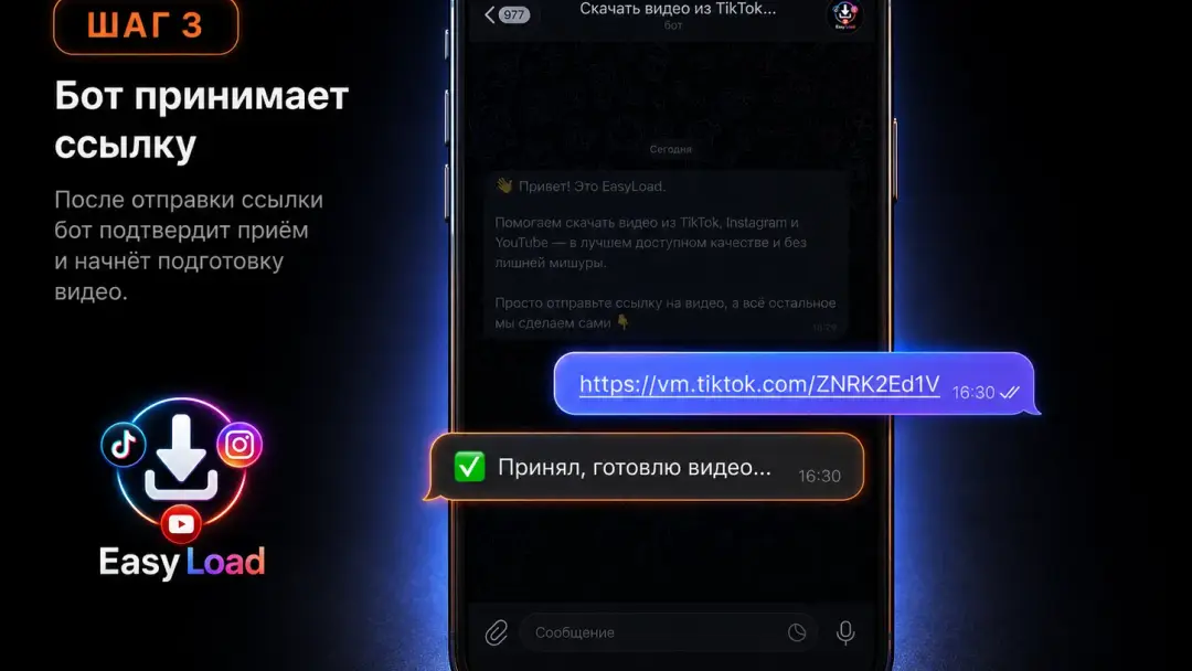 Пользователь отправляет TikTok-ссылку в EasyLoad, бот принимает видео в обработку