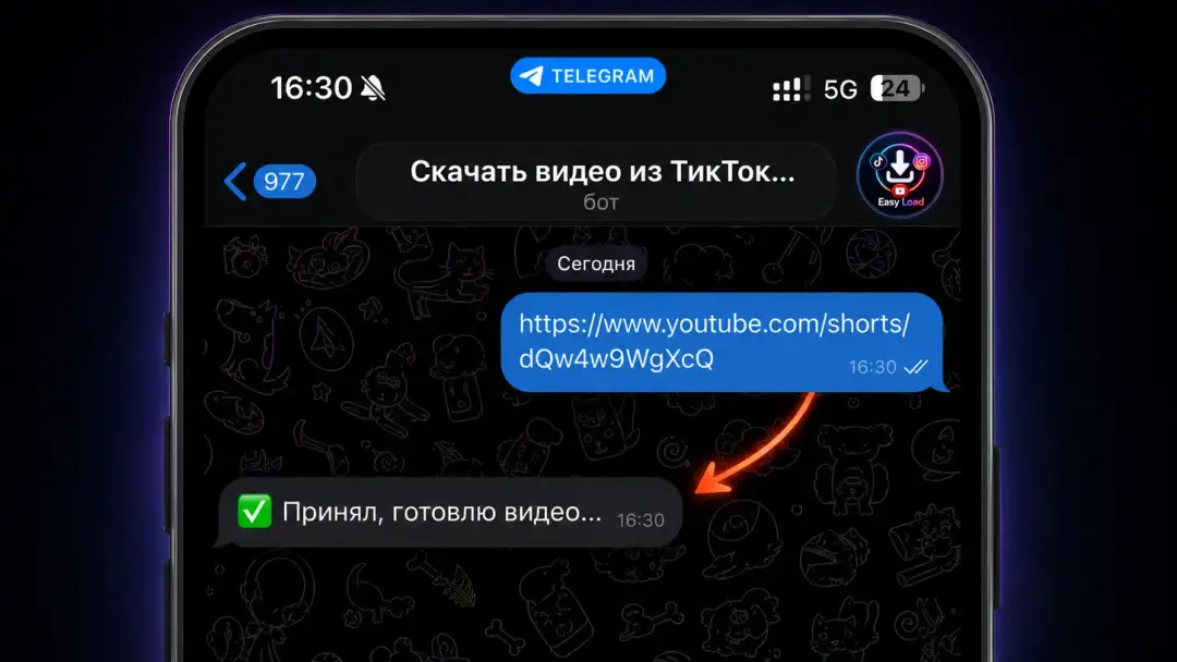 Чат Telegram с отправленной ссылкой на Shorts и ответом бота EasyLoad