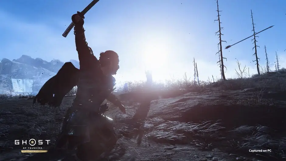 Ghost of Tsushima: Director's Cut — скриншот 6