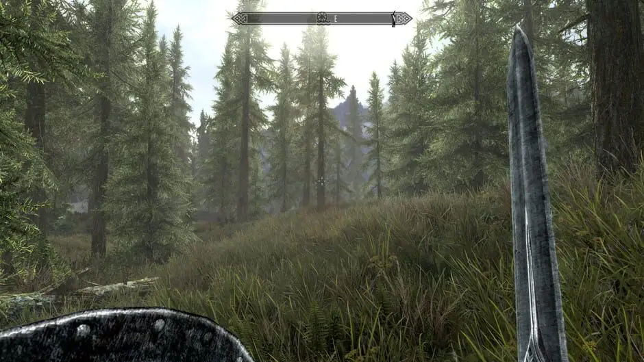The Elder Scrolls V: Skyrim — скриншот 6